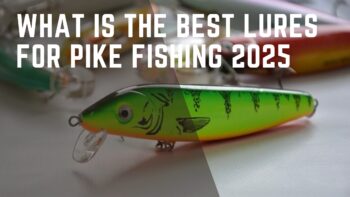 What is the Best Lures for Pike Fishing 2025